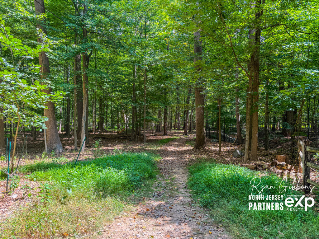 Emerson NJ Woods