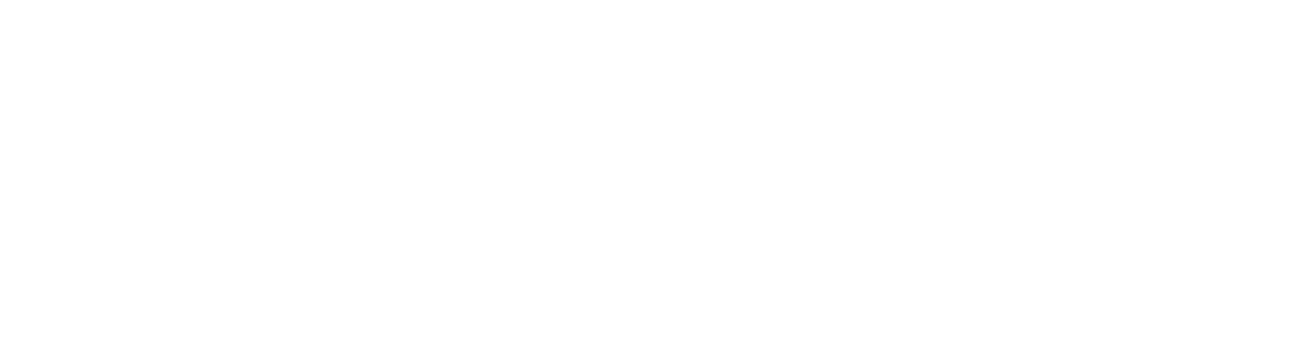 North Jersey Partners Logo White