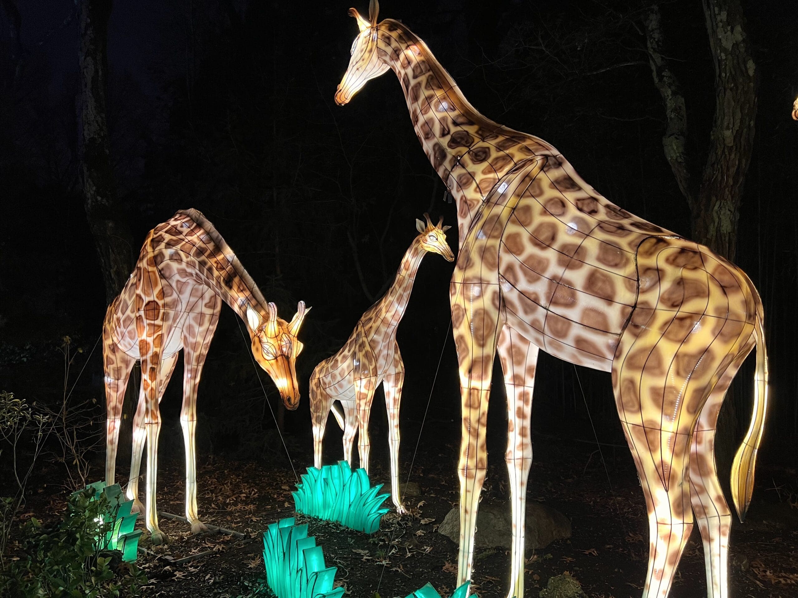 15 Bergen County Family Day Trips for Fun and Adventure